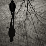 dailyPhoto37